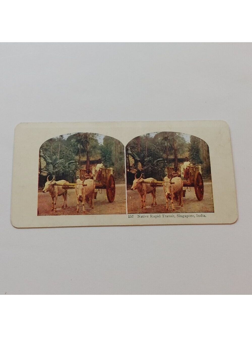 ANTIQUE Stereograph Card Double Sided Colour Singapore India Hong Kong China